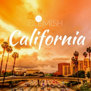 91视频网最新入口
