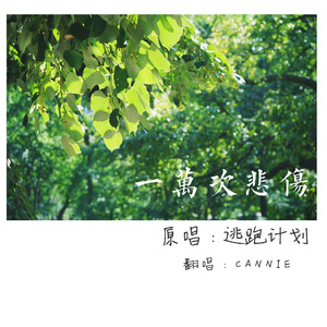 91视频网最新入口
